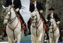 Jerez & Cadiz Full Day from Seville